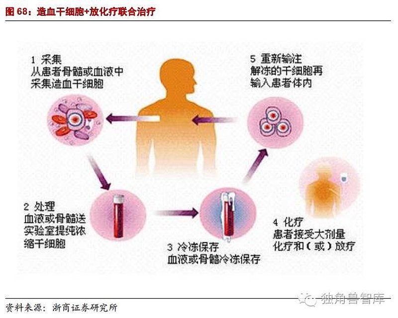 细胞治疗技术前沿:重塑医疗新篇章